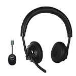 VT W310U-D, Дуо, HD звук, 150м DECT, USB-dogle type-C, чехол