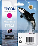 1037214 Картридж струйный Epson T7603 C13T76034010 пурпурный (1400стр.) (25.9мл) для Epson SureColor SC-P600