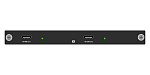 138166 Карта входа HDMI 4K60 Digibird [DB-VWC2-HP-IC-4K60HDMI1] 1-канальная