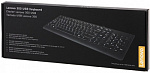 1376033 Клавиатура Lenovo 300 черный USB для ноутбука