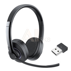 9281314106 JazzTel Teams Wireless Duo