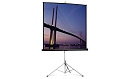 44501 [10430032] Экран Projecta Picture King 115х152см (72") Matte White на штативе 4:3