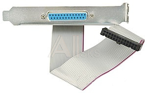 6087484 1700020294-01