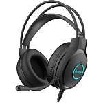 1989052 Наушники с микрофоном A4Tech Fstyler FH300U черный 2м мониторные USB оголовье (FH300U BLACK)