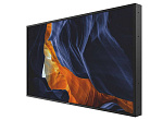 Профессиональный дисплей повышенной яркости Philips [55BDL6002H/00] 1920х1080,4000:1,2500кд/м2, проходной DVI,DP,OPS