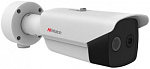 1611048 Камера IP тепловизионная HiWatch Pro IPT-B012-G2/S 6.2мм 25-18.7град.