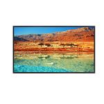 DHI-LM65-S400 Dahua 64.5" LM65-S400 ADS LED 16:9 3840x2160 8ms 1200:1 400cd 178/178 D-Sub HDMI USB RS232(RJ45) OPS Speakers 1.5W*2 60Hz 24/7 ready VESA Black 2 year
