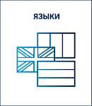 Модуль PROMT PN (одна языковая модель на выбор, ВОХ)* Модуль установки дополнительных языков для PROMT Professional Neural (Комплектация: одна язы