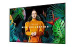 146980 Профессиональный дисплей Samsung [QB55C] 3840х2160,4000:1,350кд/м2,Tizen 7.0
