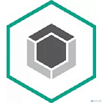 Лицензия для ООО "ИЗА-МСК" [KL4863RAMFR-15шт]