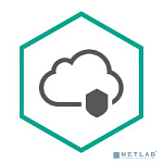 KL4742RAKDW Kaspersky Endpoint Security Cloud, User Russian Edition. 10-14 Workstation / FileServer; 20-28 Mobile device 2 year Cross-grade License -