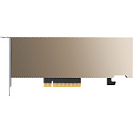 1000661834 Видеокарта PNY VGA A2,16GB,PCIE