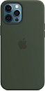 1000596251 Чехол MagSafe для iPhone 12 Pro Max iPhone 12 Pro Max Silicone Case with MagSafe - Cypress Green
