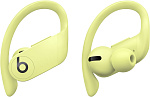 1000573641 Наушники Powerbeats Pro Totally Wireless Earphones - Spring Yellow