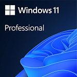 1941633 Microsoft Windows 11 [FQC-10529] Professional English 64-bit {1pk DSP OEI DVD}