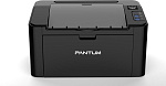 1000631192 Принтер лазерный Pantum P2516